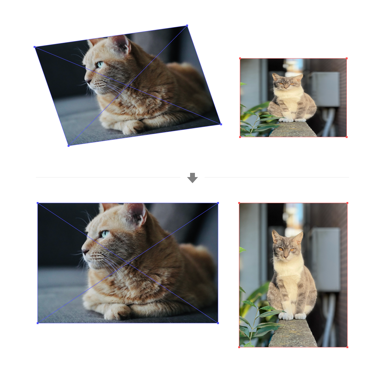 選択した画像サイズを元に戻す